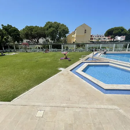 Algardia - Center -